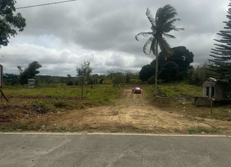 Residential - Farm Lot for Sale - Amadeo Cavite 2mins to Aguinaldo Hway Near Tagaytay