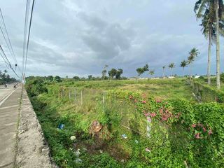 FOR SALE: PRIME COMMERCIAL LOT ALONG MAIN ROAD – CARCAR CITY, CEBU