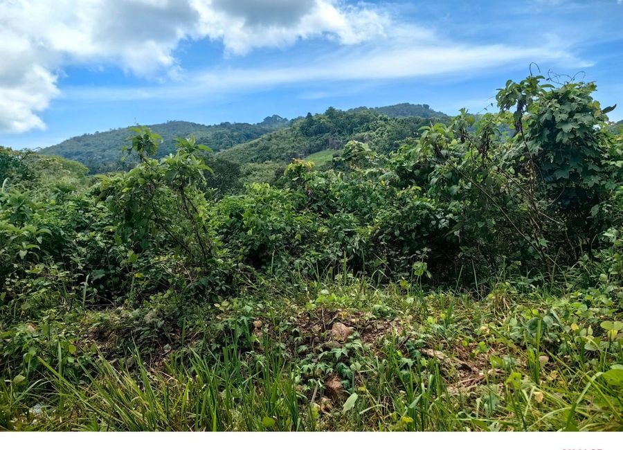 1 Hectare Agricultural Lot for Sale in Teneguiban El Nido