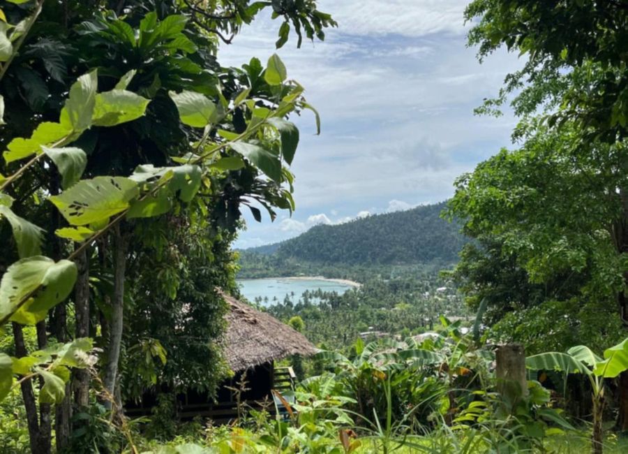 3609sqm Overlooking lot for sale in Port Barton San Vicente Palawan