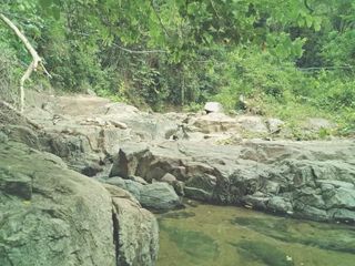 San Juan Batangas | Farm Lot For Sale - #8243