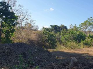 Lot only cemented road titled for Sale in Nueva, Ecija