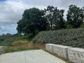 7,359 sqm Lot in Malabag, Silang Cavite