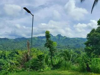 Residential Farm Lot Batangas For Sale