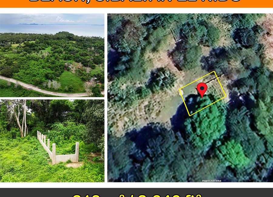 218 m2 / 2,346 ft2 | Tropical Estate Near Twin Beach, Sibaltan, El Nido