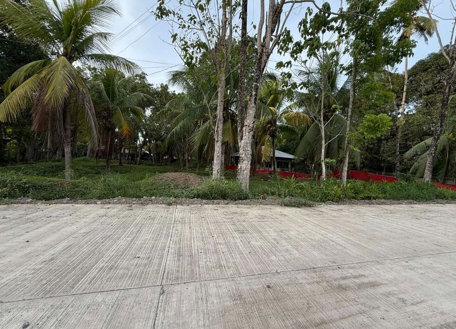 🌅🏡 𝐅𝐎𝐑 𝐒𝐀𝐋𝐄: 𝐑𝐞𝐬𝐢𝐝𝐞𝐧𝐭𝐢𝐚𝐥 𝐋𝐨𝐭 – 𝐒𝐮𝐧𝐫𝐢𝐬𝐞 & 𝐑𝐢𝐜𝐞 𝐅𝐢𝐞𝐥𝐝 𝐕𝐢𝐞𝐰 🌾✨