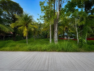 🌅🏡 𝐅𝐎𝐑 𝐒𝐀𝐋𝐄: 𝐑𝐞𝐬𝐢𝐝𝐞𝐧𝐭𝐢𝐚𝐥 𝐋𝐨𝐭 – 𝐒𝐮𝐧𝐫𝐢𝐬𝐞 & 𝐑𝐢𝐜𝐞 𝐅𝐢𝐞𝐥𝐝 𝐕𝐢𝐞𝐰 🌾✨