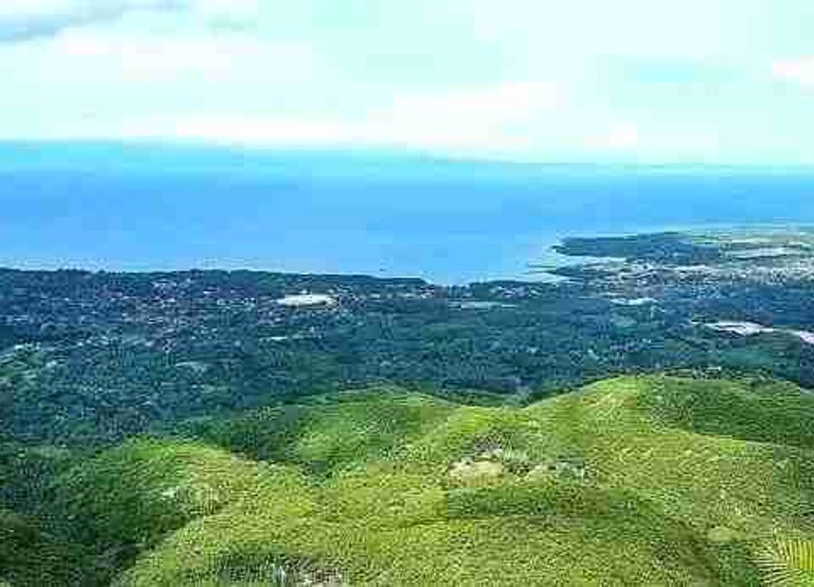 Amonsagana Balamban House and Lot for Sale | Cool Climate & Nature Community