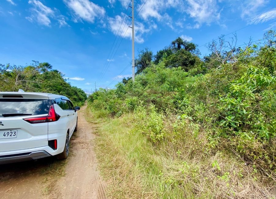 Affordable Lot for Sale in Dao, Dauis along Provincial Road