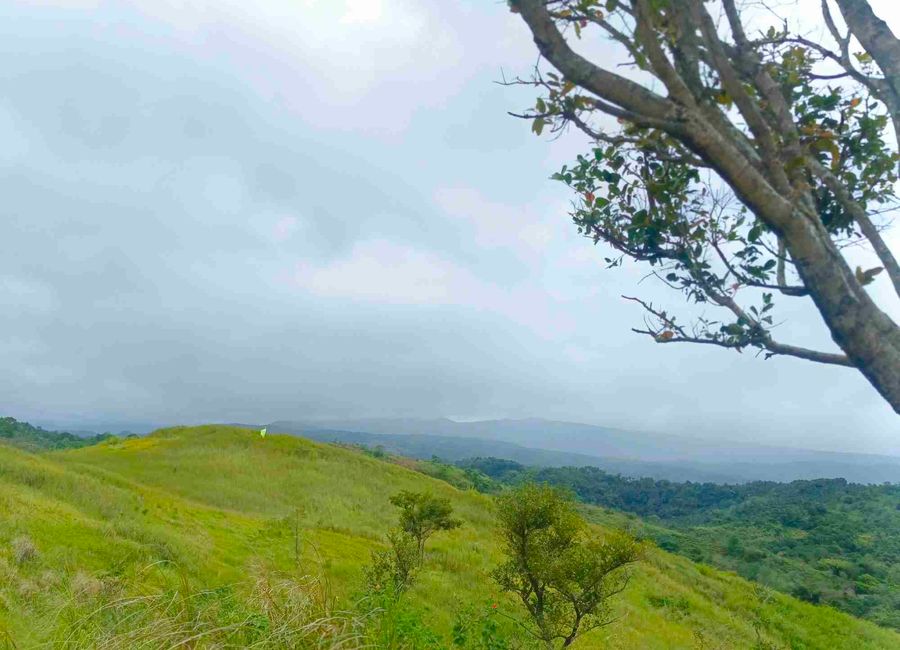 TITLED FARM LOT IN SAMPALOC TANAY