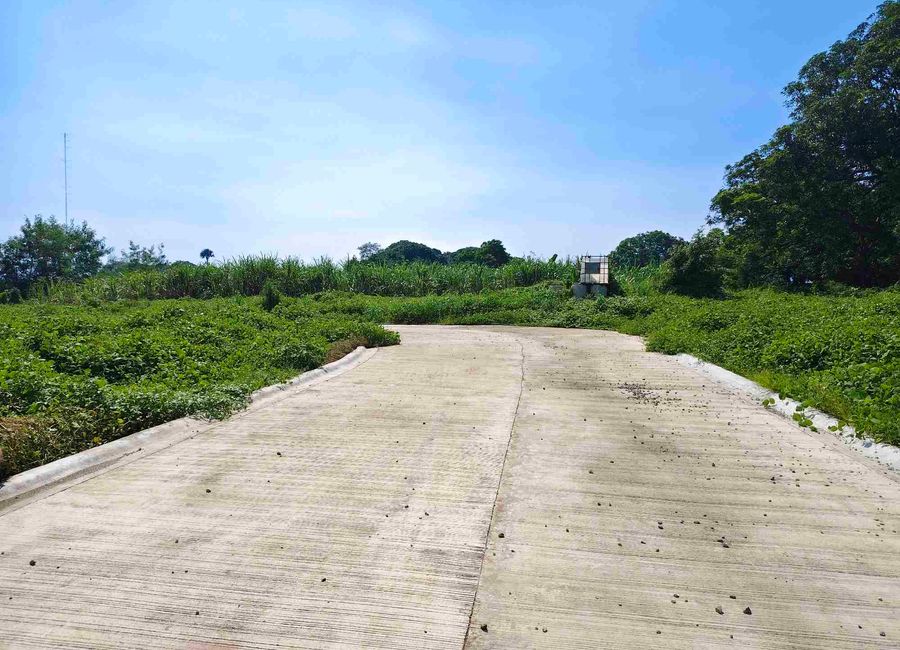 place photo 2