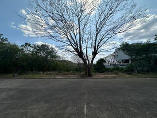 Residential Lot For Sale - Kawayan Cove