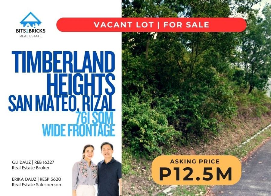 Prime 700+ sqm Elevated Lot | Mandala East, Timberland Heights, San Mateo, Rizal