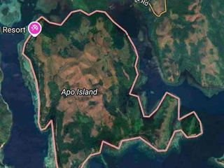 Palawan Island for sale