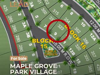Good deal Maple Grove Park Village Prime Inner Lot For Sale 323 Sqm near Clubhouse Gate Ayala Land Exclusive Village