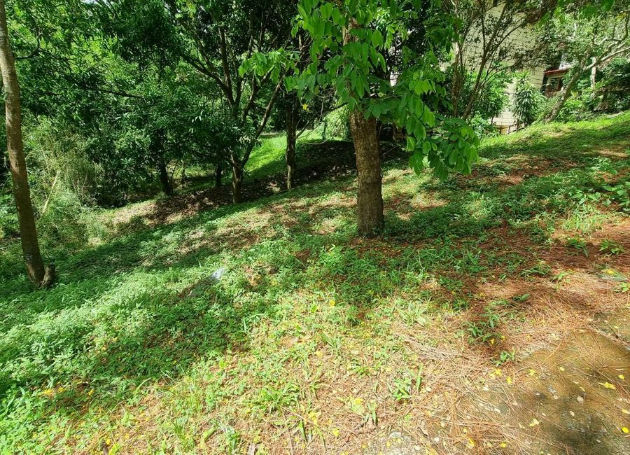 For Sale: 322 sqm Lot in Canyon Woods Resort Tagaytay