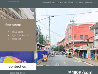 For Sale: Prime Commercial Vacant Lot located along Pedro Gil Paco, Manila