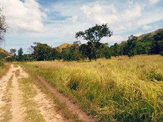 15.62HA Raw Land Near Beachfront | Palawan | Clean Title