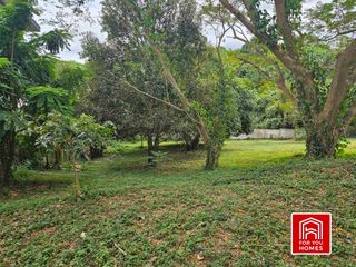 🏕 Breathtaking Forest View Lot for Sale in Ayala Westgrove Heights