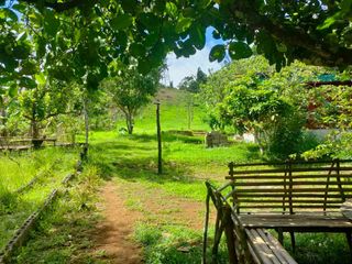 FOR SALE - Farm Land with Residential House in Paete, Laguna