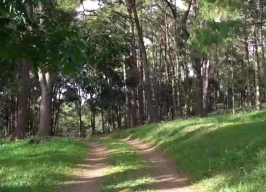 PRIME RESIDENTIAL LOT FOR SALE IN TANAY RIZAL EPIC MOUNTAIN ESTATE PHASE 1 MOUNTAIN VIEW PROPERTY
