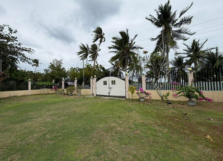 place photo 30