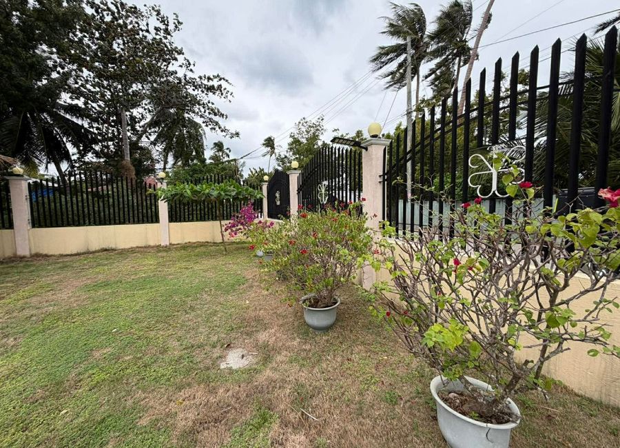 place photo 41