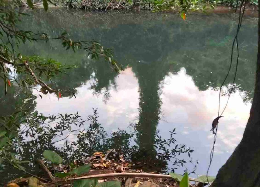 2 Lots Near Busuanga International Airport