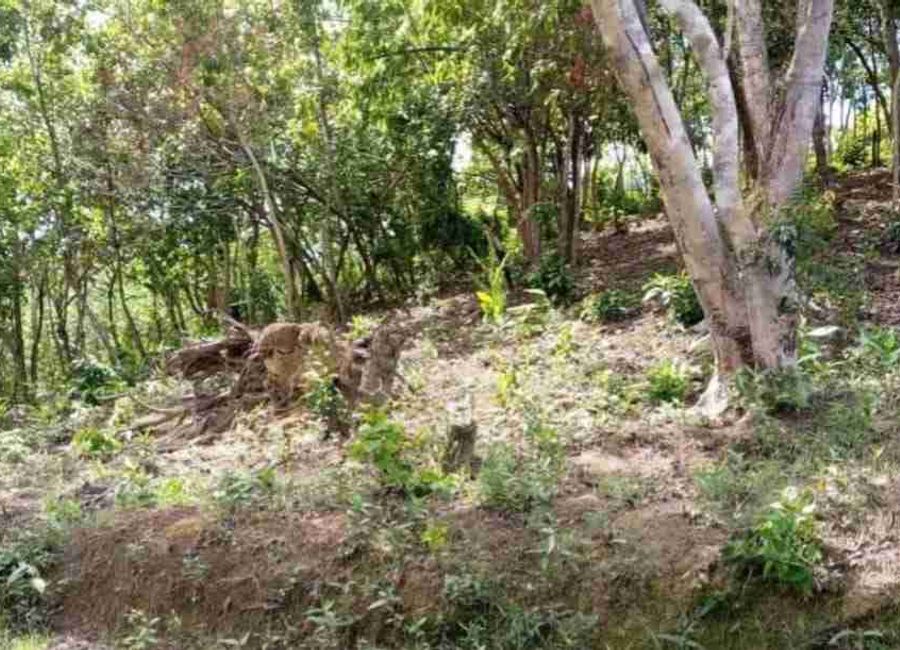 Villa Libertad El Nido Palawan