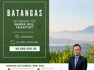 FOR SALE: 2.5 Hectare Lot Across Nara Hill, Batangas