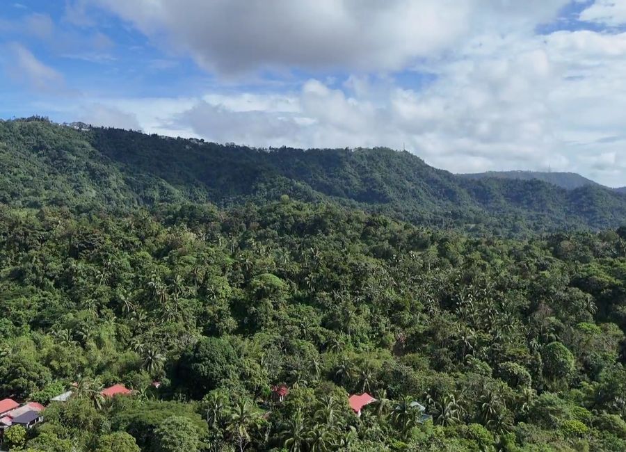 FARM LOT FOR SALE NEAR NARRA HILLS BATANGAS