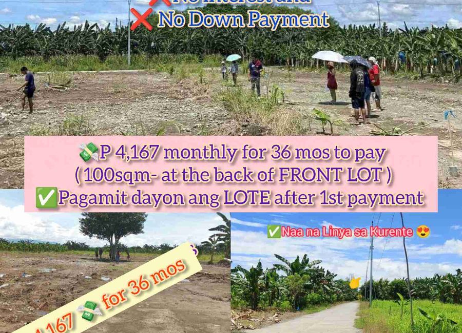 Original Certificate of Title