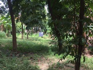 Zavalla | Residential Lot For Rent & Sale - #9677