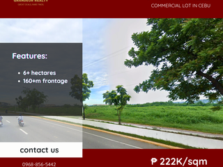 FOR SALE Commercial Lot in Cebu