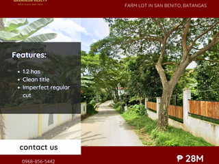 For Sale: Farm Lot located at San Benito, Batangas