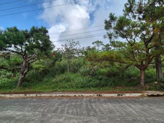 Pinewoods Estate – 412sqm Flat Terrain Lot