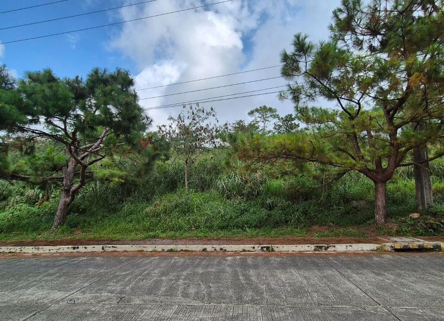 Pinewoods Estate – 412sqm Flat Terrain Lot