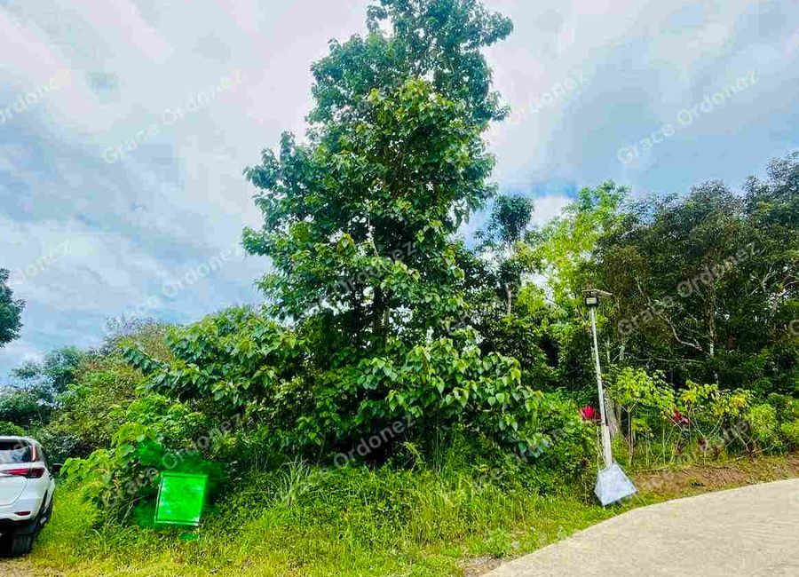 Overlooking Lot Sale in Tanay