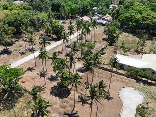 FARM LOT IN BENDITA MAGALLANES CAVITE READY TO USE LOT