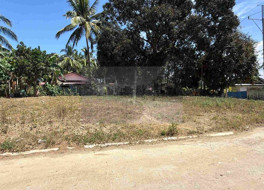 FARM LOT IN MAGALLANES CAVITE READY NG TAYUAN