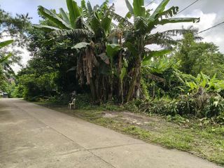 8,134 sqm Commercial / Residential Lot for Sale in Neogan Tagaytay City