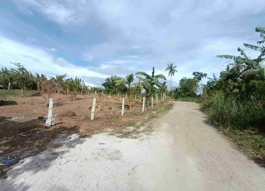 963sqm Lot For Sale with Clean Title Indang Cavite