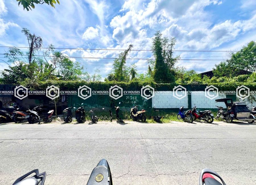 HIGH-POTENTIAL COMMERCIAL LAND FOR SALE IN CONCEPCION, TARLAC
