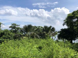Luxury Coastal state in with 20000 area Seafront Estate in Batangas