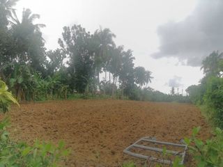 3,968 sqm Vacant Lot in Taal Batangas