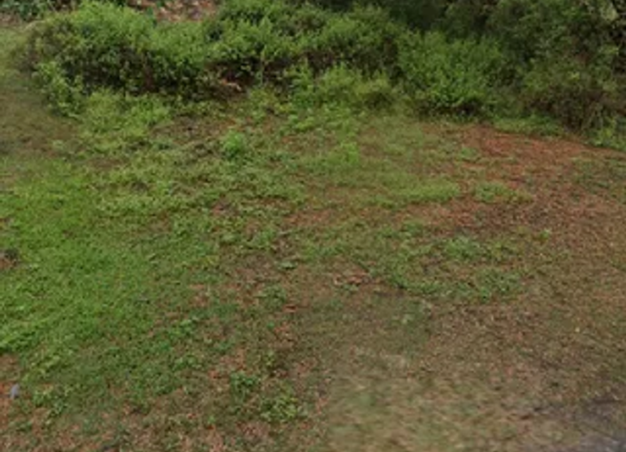 165sqm Vacant Lot For Sale in Santa Maria, Bulacan