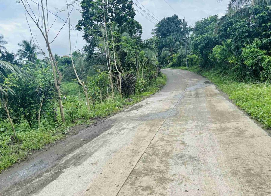 Farm Lot In San Antonio Quezon