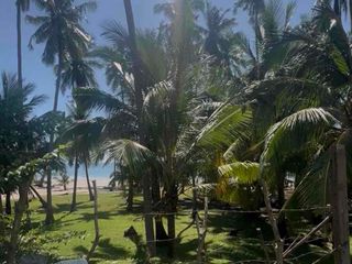 Prime Beach Lot for Sale In Palawan
