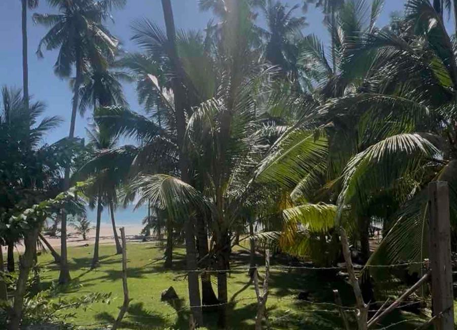 Prime Beach Lot for Sale In Palawan