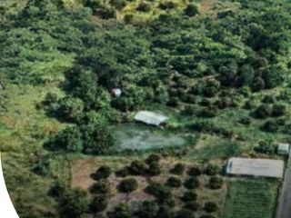 San Miguel, Bulacan 18% ROI - Farm for Sale